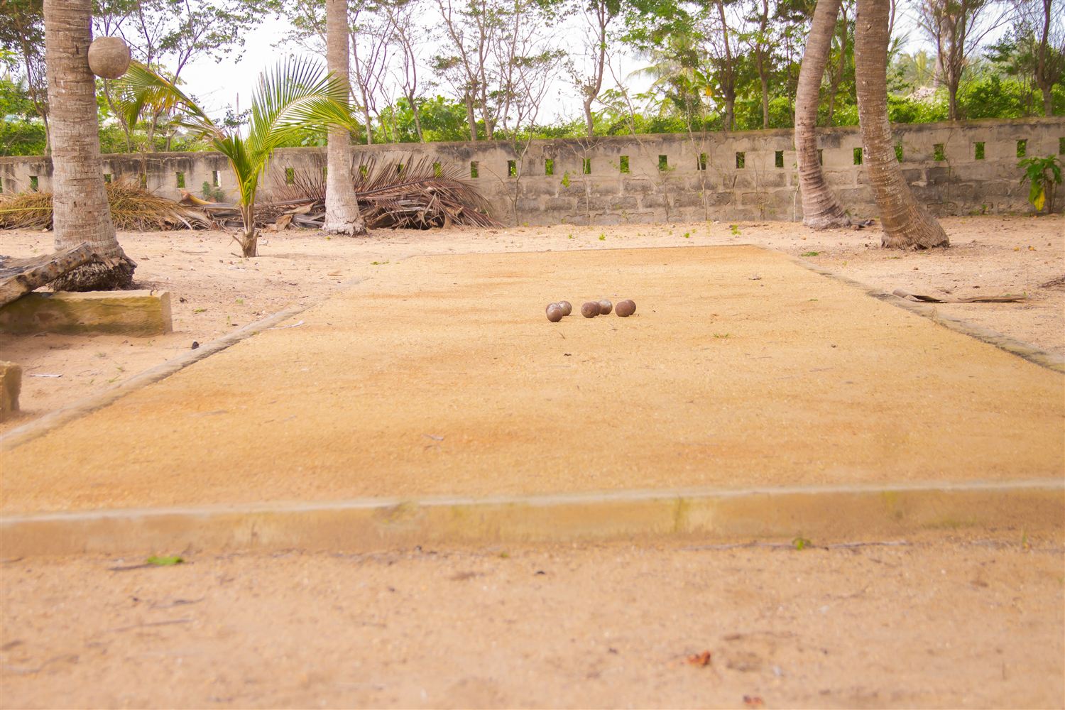 Activité pétanque