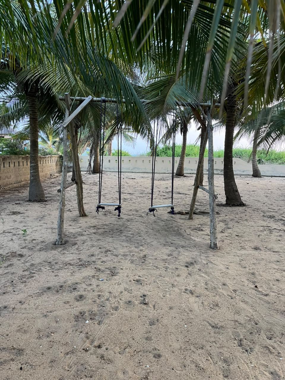 Balançoires sous les cocotiers